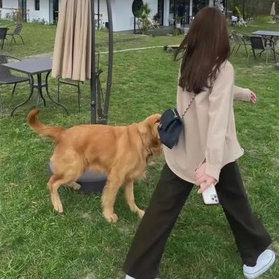 新河东狮吼